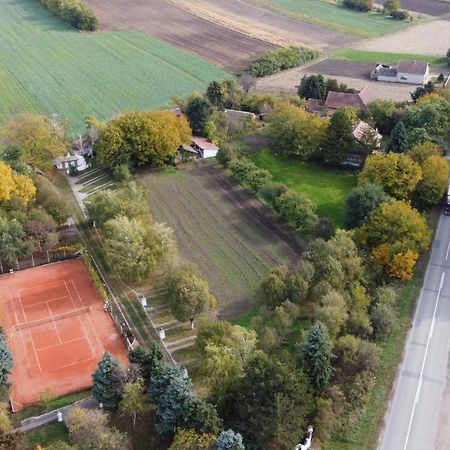 Feketić B&B Villa Pipacs المظهر الخارجي الصورة
